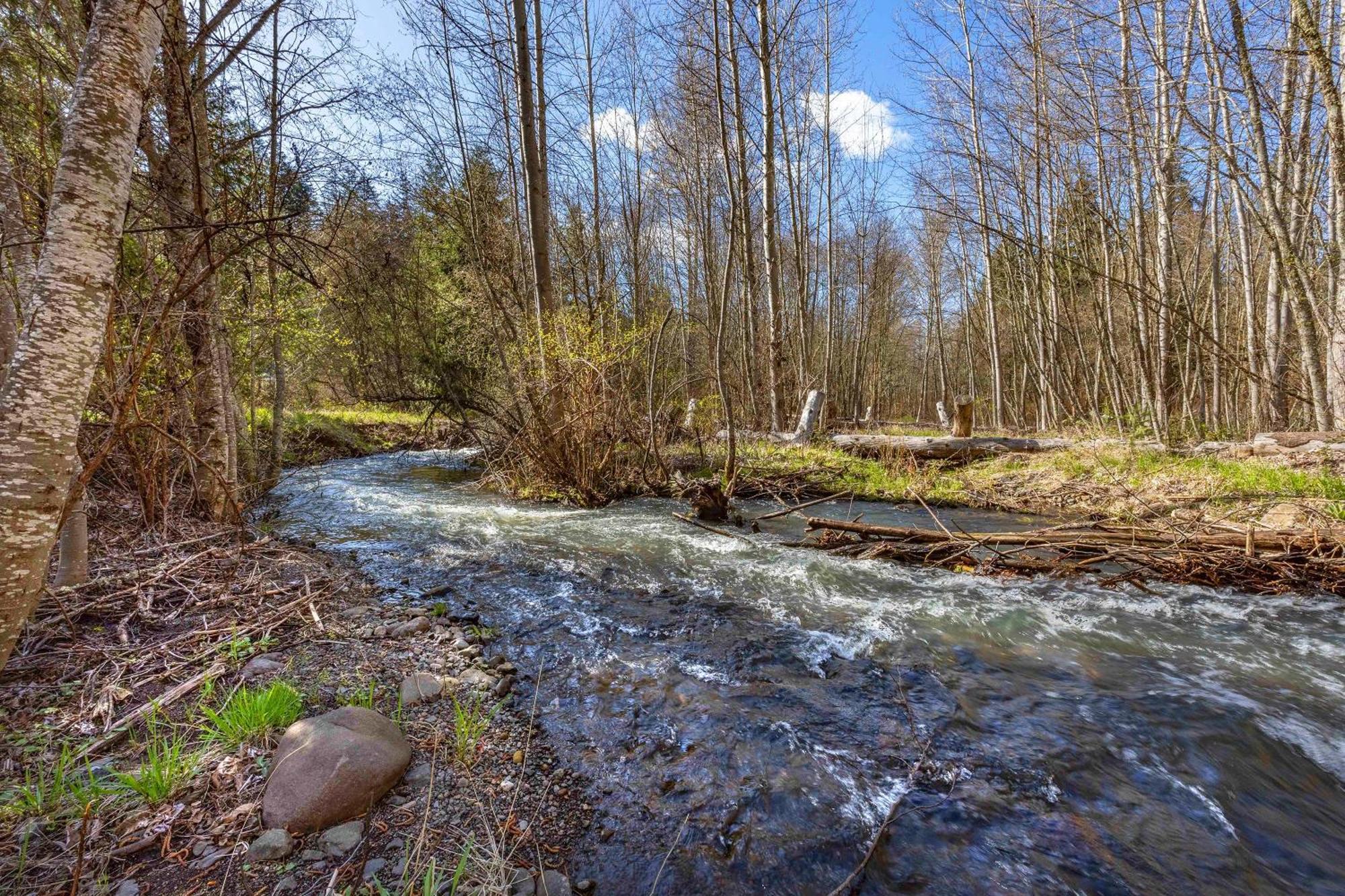 Вілла Neal Creek Retreat Mount Hood Екстер'єр фото
